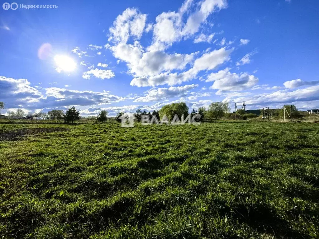Участок в Смоленский муниципальный округ, деревня Лубня (20 м) - Фото 0