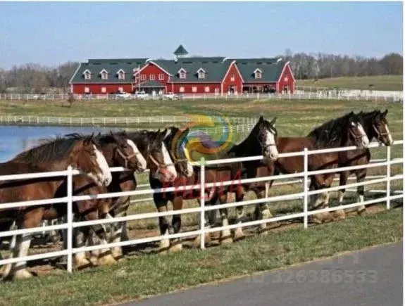 Участок в Ивановская область, Ивановский район, Коляновское с/пос, д. ... - Фото 1