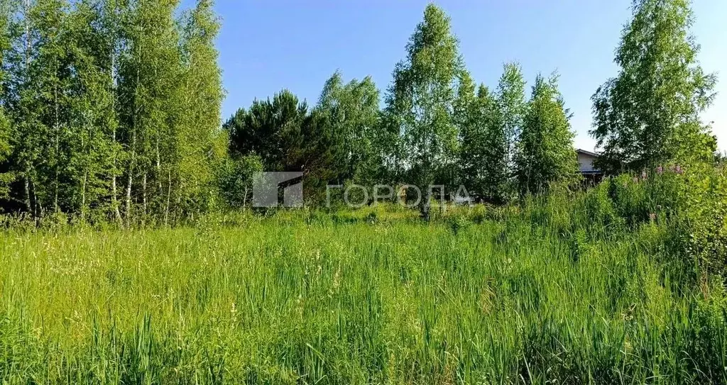 Участок в Новосибирская область, Новосибирский район, Барышевский ... - Фото 1