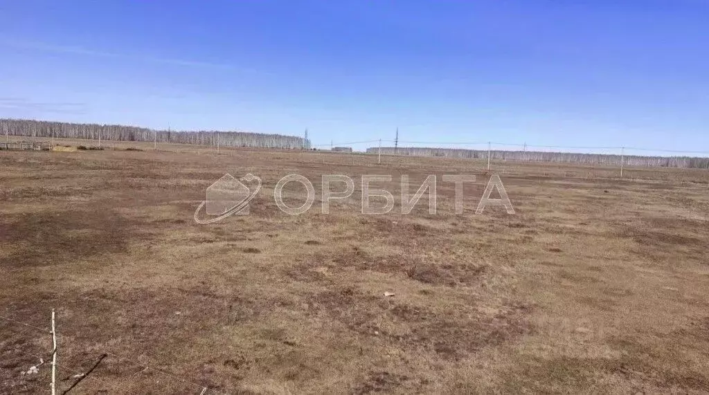 Участок в Тюменская область, Нижнетавдинский муниципальный округ, ... - Фото 1