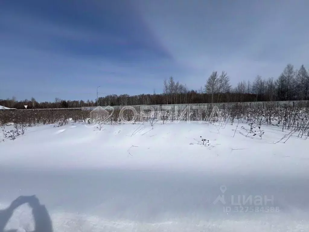 Участок в Тюменская область, Тюменский муниципальный округ Салаирский ... - Фото 1