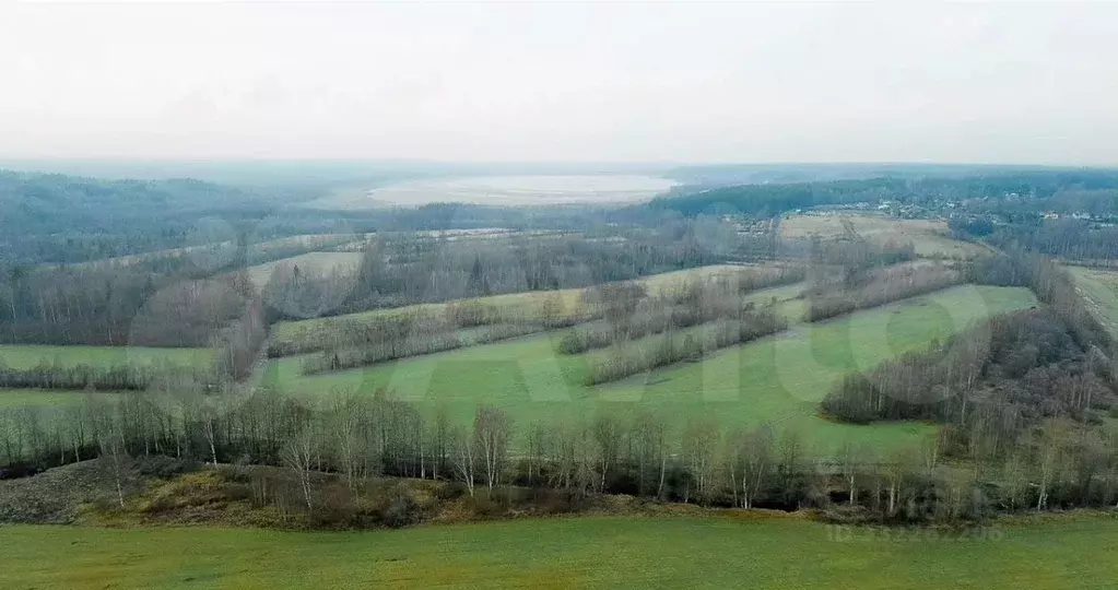 Участок в Ленинградская область, Выборгский район, Рощинское городское ... - Фото 2
