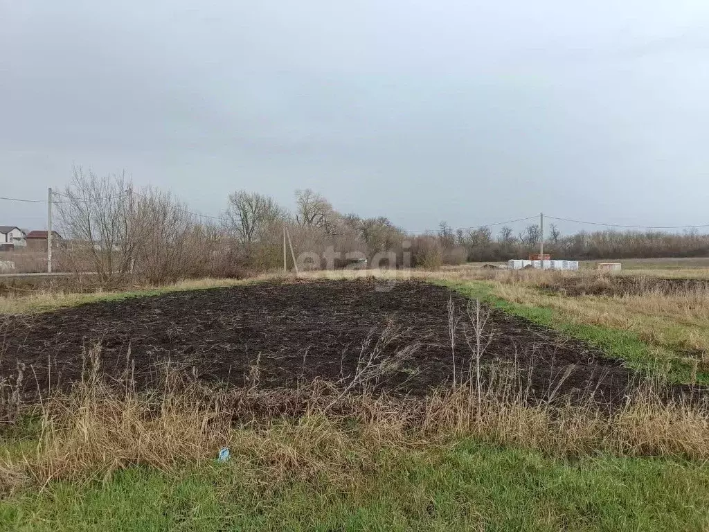 Участок в Воронежская область, Рамонский район, Березовское с/пос, ... - Фото 1