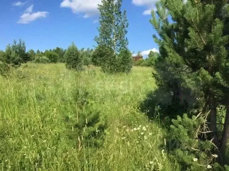 Участок в Кемеровская область, Кемеровский район, с. Силино ул. 3-я ... - Фото 1