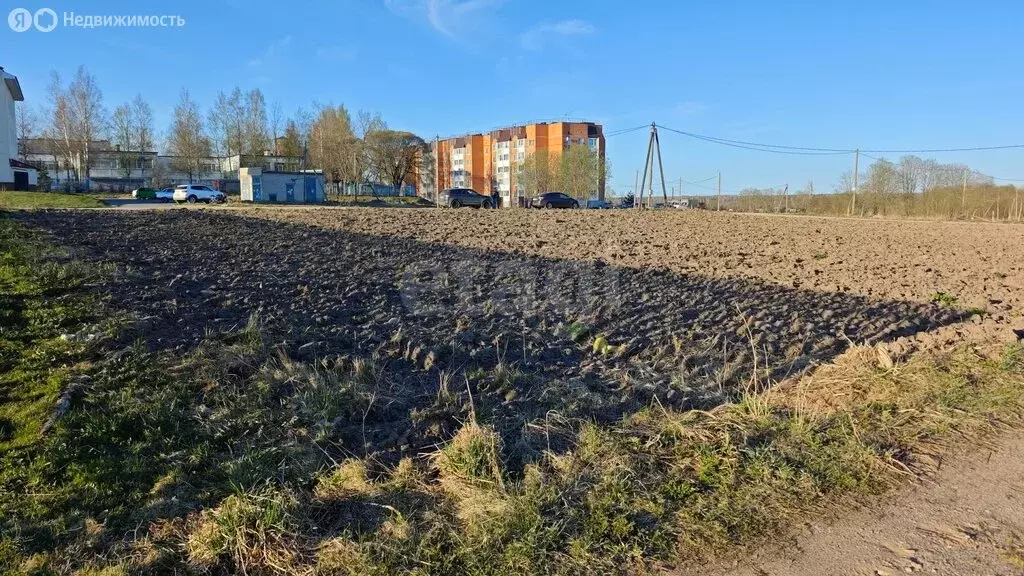 Участок в посёлок Глажево, микрорайон Молодежный (17 м) - Фото 2