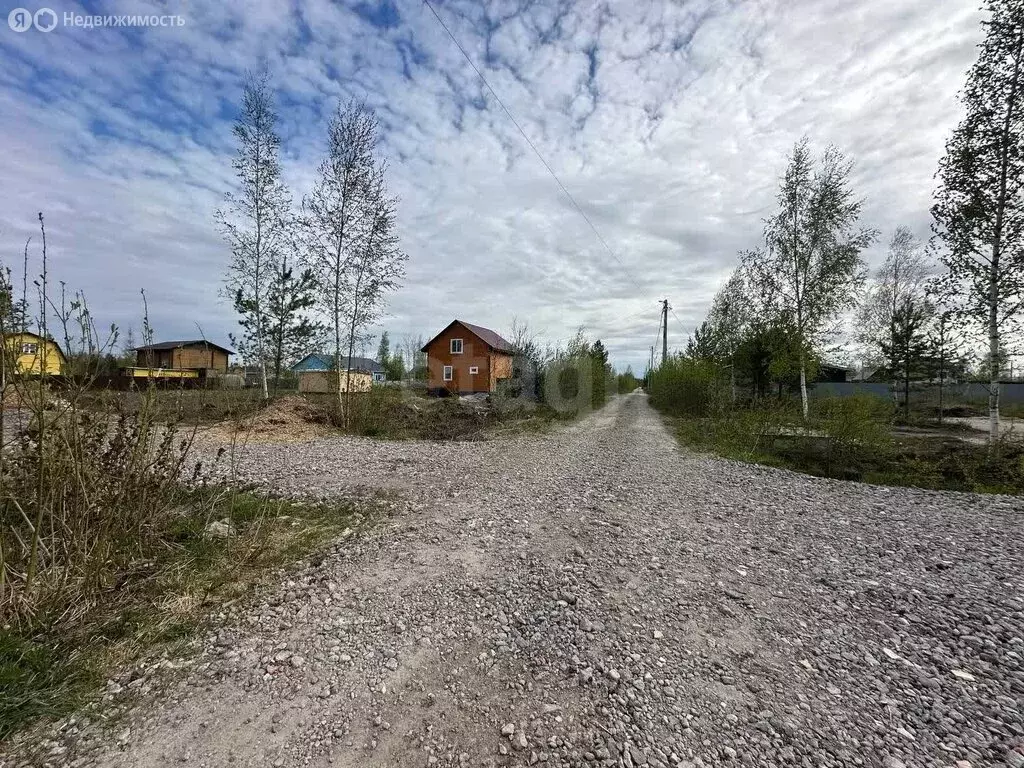 Участок в Кировский район, Синявинское городское поселение, ... - Фото 1