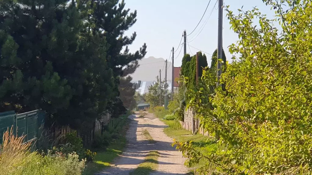 Участок в Калининградская область, Светлогорский городской округ, пос. ... - Фото 2