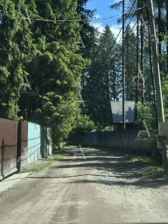 Участок в Ленинградская область, Выборгский район, Рощинское городское ... - Фото 1