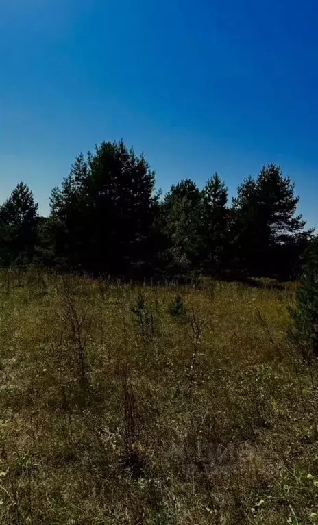 Участок в Московская область, Серпухов городской округ, д. Прилуки  ... - Фото 2