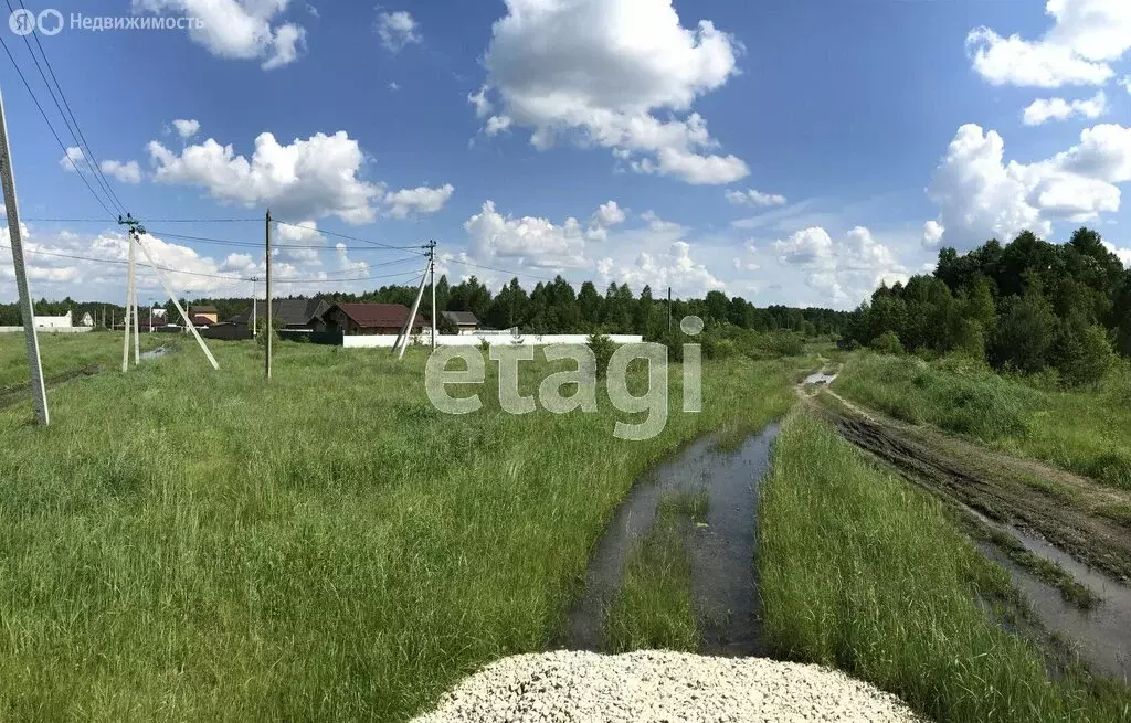 Участок в Навлинский район, Синезёрское сельское поселение, деревня ... - Фото 1