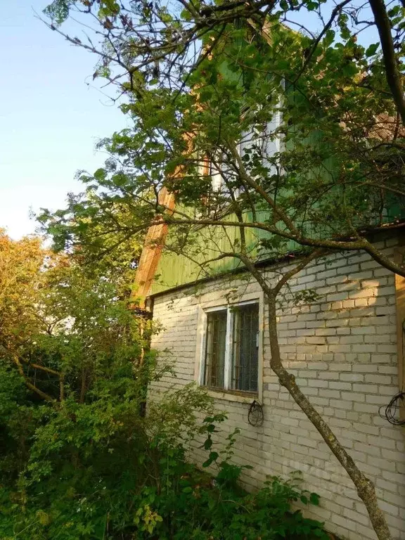 Дом в Владимирская область, Суздальский район, Боголюбовское ... - Фото 0