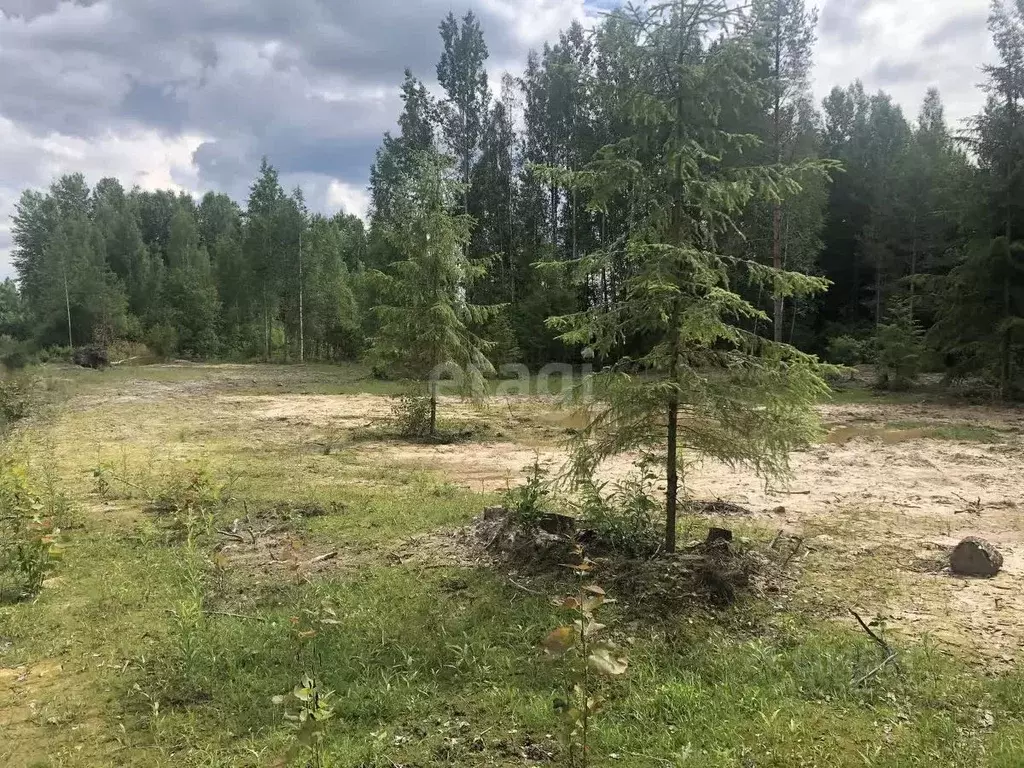 Участок в Ленинградская область, Киришский район, Пчевжинское с/пос, ... - Фото 2