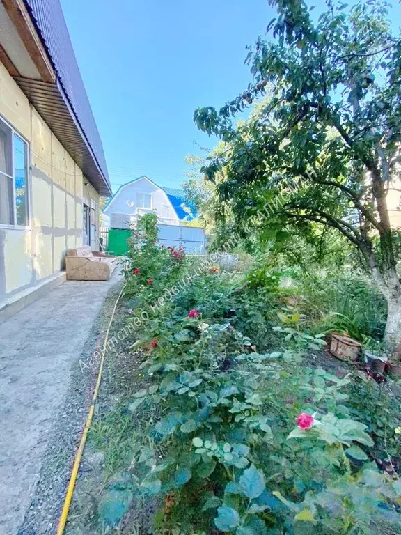 Дом в Ростовская область, Неклиновский район, с. Николаевка, ... - Фото 2