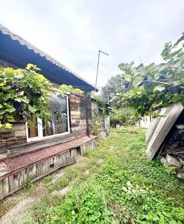 Дом в Самарская область, Сызрань ул. Левина, 54А (89 м) - Фото 1