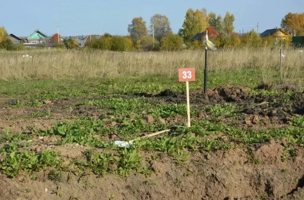 Участок в Ростовская область, Родионово-Несветайский район, ... - Фото 0