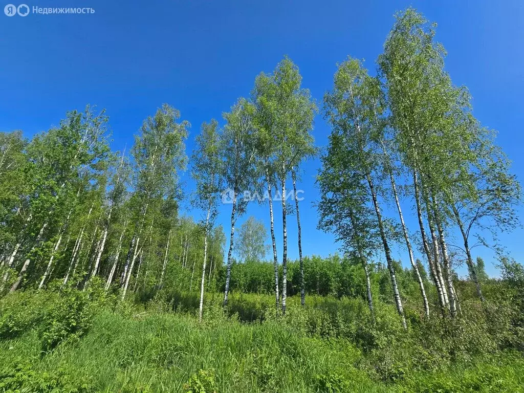Участок в Ярославская область, Рыбинский муниципальный округ, ... - Фото 1