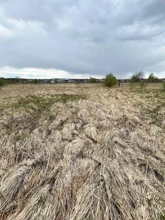 Участок в Костромская область, Нерехтский район, Воскресенское с/пос, ... - Фото 1