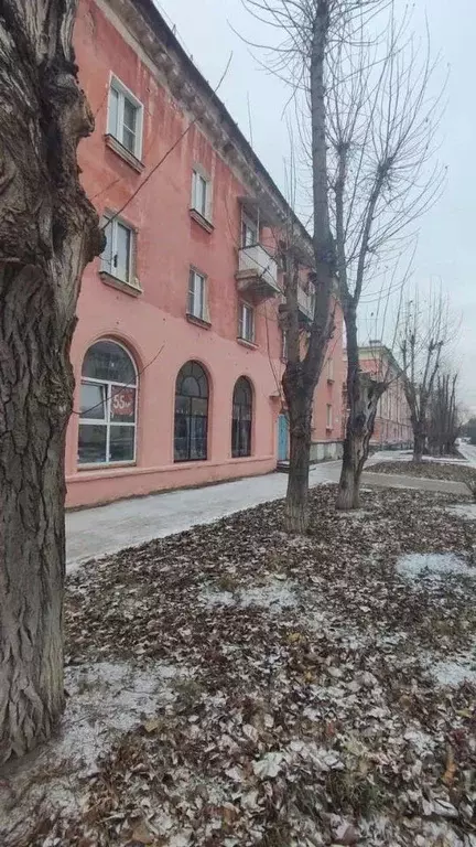 Помещение свободного назначения в Самарская область, Тольятти ул. ... - Фото 0