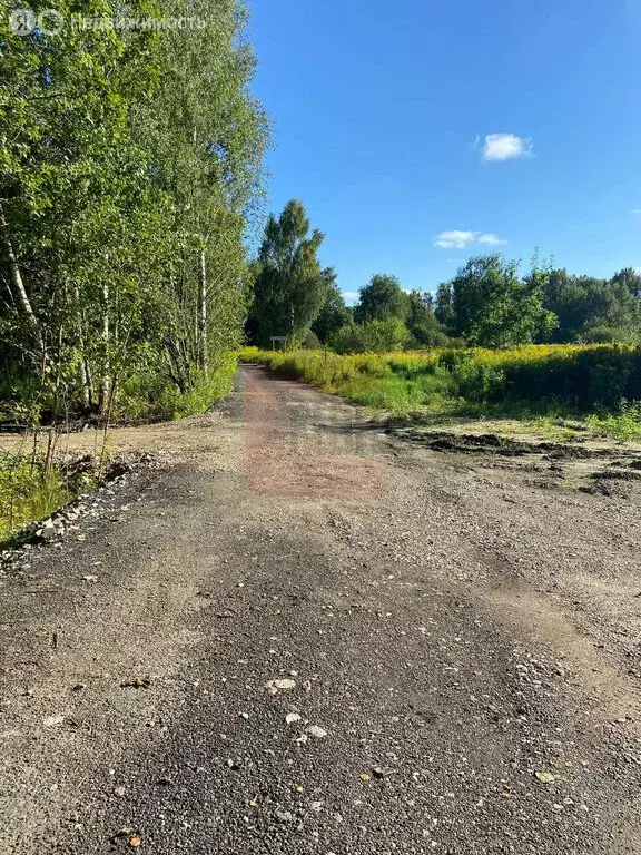 Участок в Калининград, Астраханская улица (6 м) - Фото 1