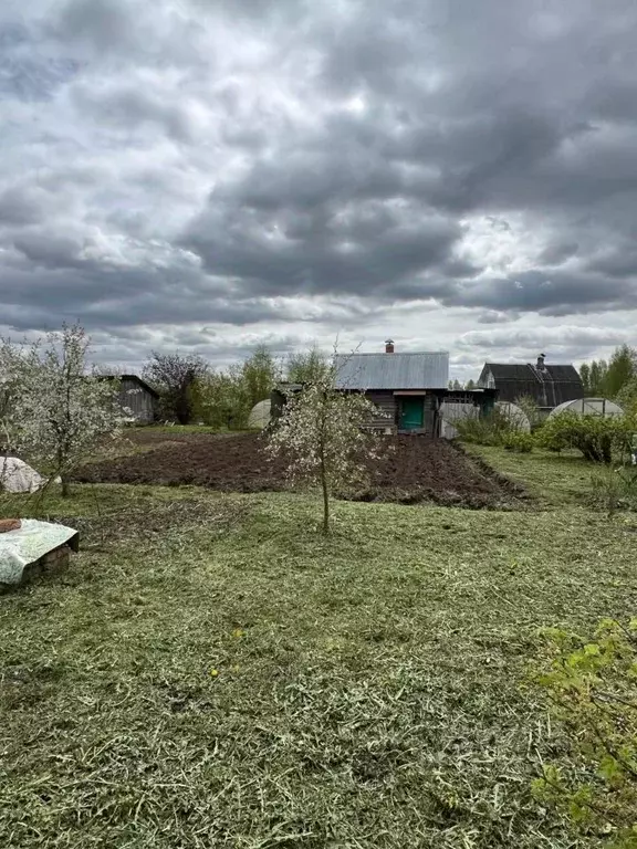 Дом в Псковская область, Великолукский муниципальный округ, Кооператор ... - Фото 2