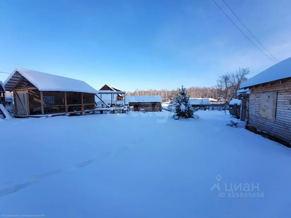 Дом в Алтайский край, Алтайский район, Айский сельсовет, с. Ая ул. ... - Фото 1