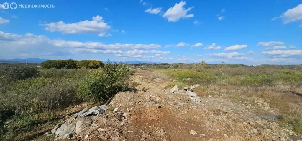 Участок в Арсеньев, улица Дружбы (15 м) - Фото 0