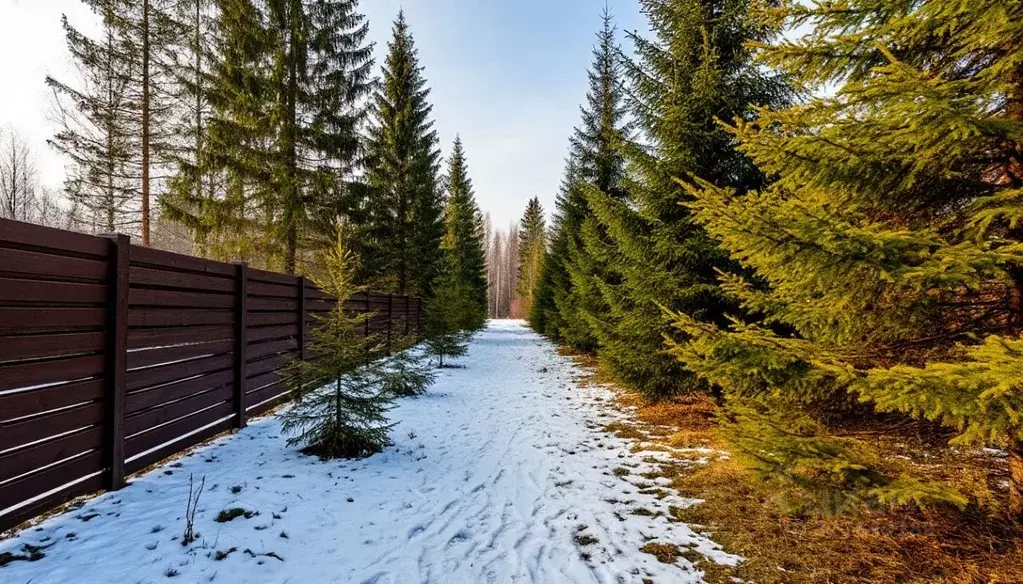 Участок в Московская область, Истра муниципальный округ, Снегири пгт ... - Фото 1