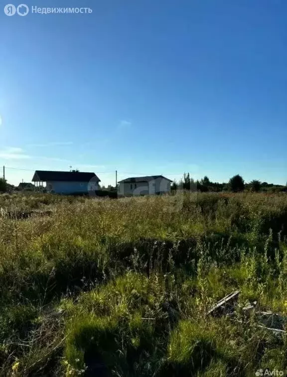 Участок в Калининградская область, Багратионовский муниципальный ... - Фото 2