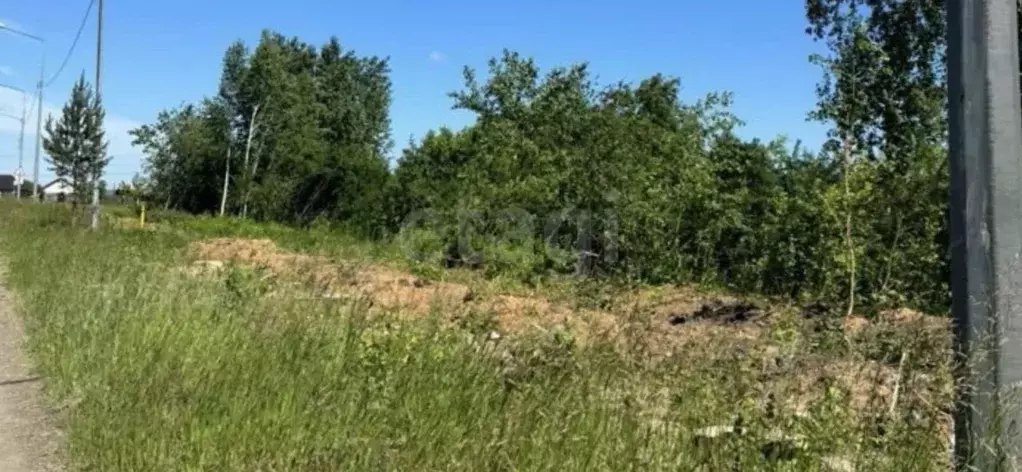 Участок в Свердловская область, Нижний Тагил Рудник имени 3-го ... - Фото 1