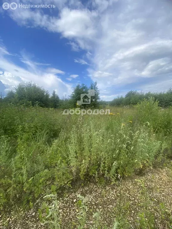 Участок в Билимбай, улица Некрасова, 24 (10 м) - Фото 0