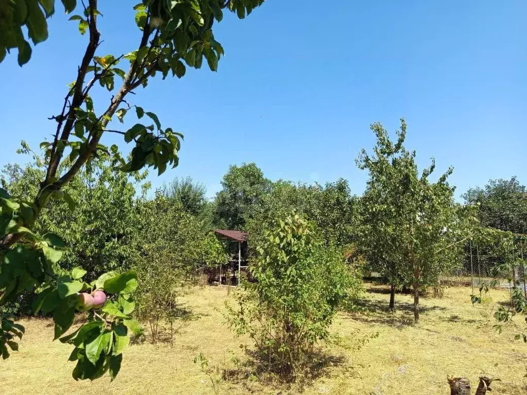 Участок в Адыгея, Майкоп Звезда СНТ, ул. Архитектурная (3.5 сот.) - Фото 0