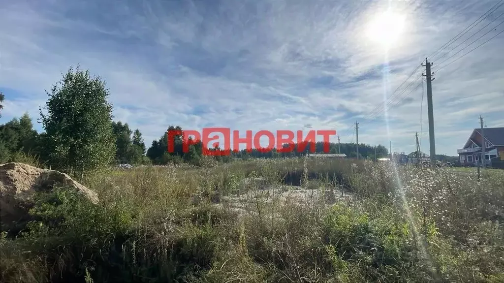 Участок в Новосибирская область, Колыванский район, с. Скала ул. 40 ... - Фото 1