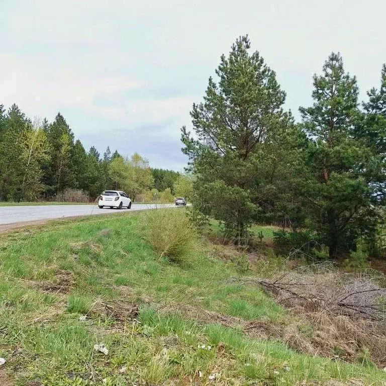 Участок в Татарстан, Тукаевский район, д. Малая Шильна, Маленькая ... - Фото 2