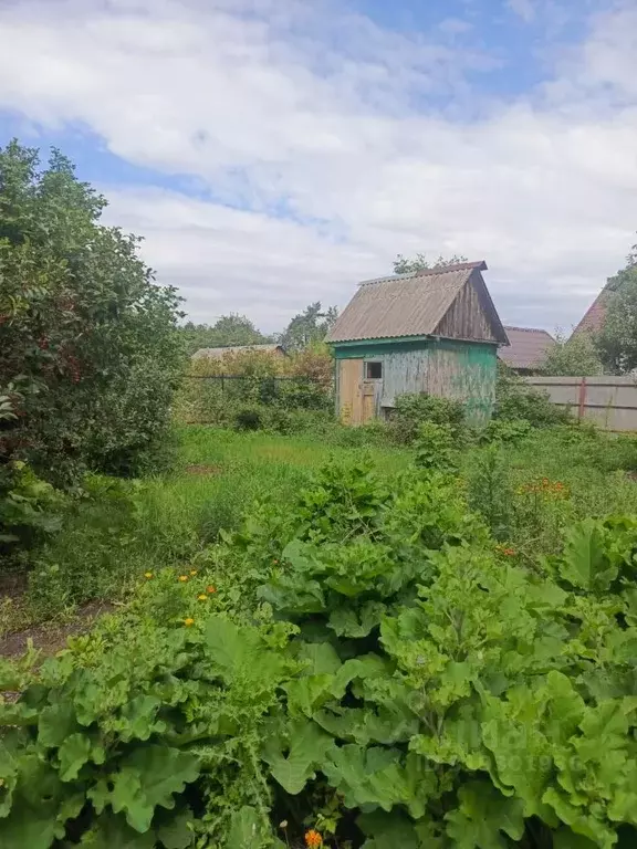 Участок в Воронежская область, Рамонский район, с. Березово ул. Мира, ... - Фото 0