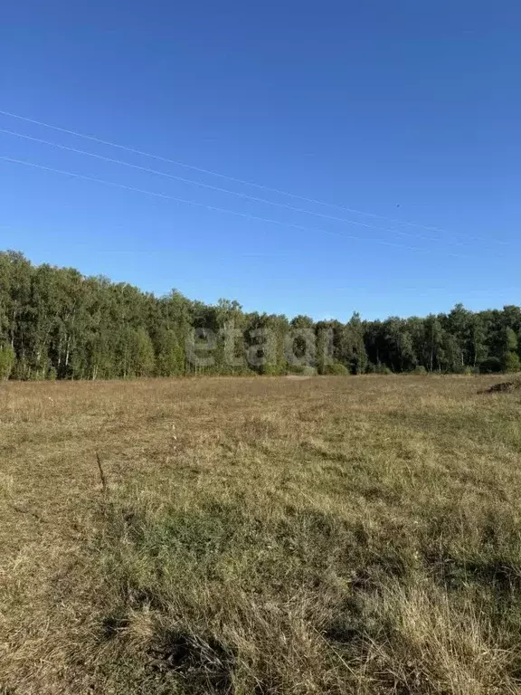 Участок в Тульская область, Веневский муниципальный округ, с. ... - Фото 0
