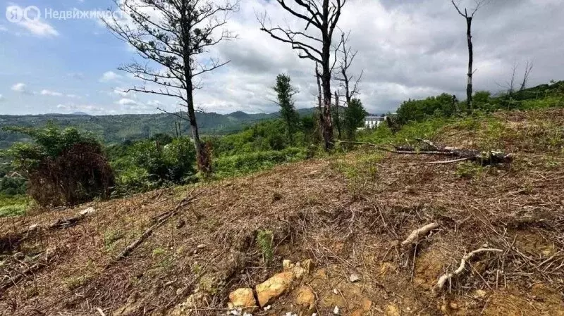 Участок в село Нижняя Шиловка, Светогорская улица, 84/1А (12 м) - Фото 1