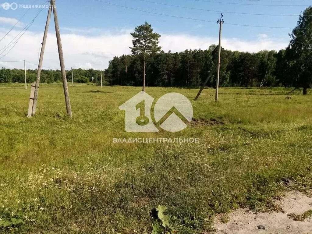 Участок в Белоярка, Молодёжная улица, 7 (11.89 м) - Фото 1