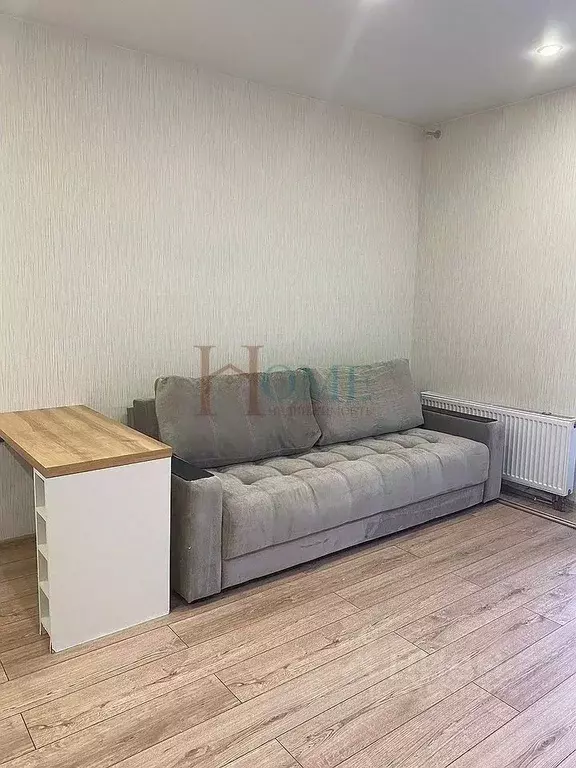 Студия Новосибирская область, Новосибирск Красный просп., 313 (32.0 м) - Фото 2