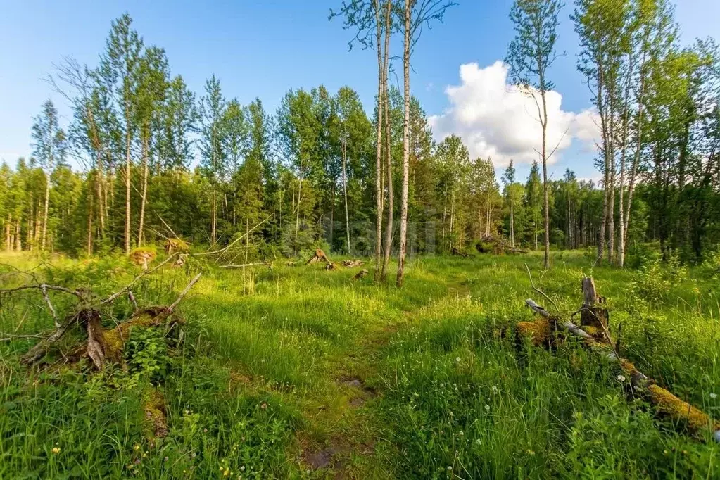 Участок в Тюменская область, Тобольск Микрорайон усадьба,  (10.0 сот.) - Фото 1
