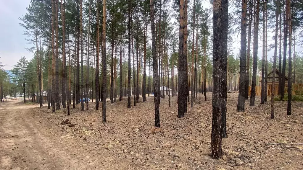 Участок 9 сот. (ИЖС) - Фото 0