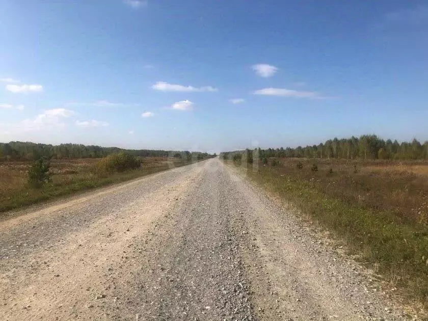 Участок в Тюменская область, Нижнетавдинский муниципальный округ, с. ... - Фото 1