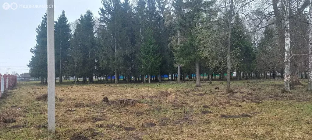 Участок в село Турбаслы, Центральная улица (13 м) - Фото 1