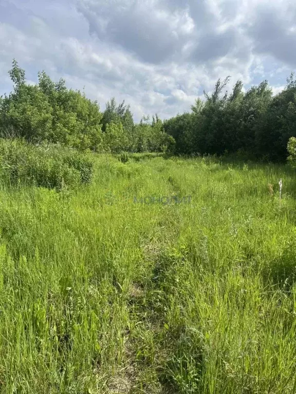 Участок в Нижегородская область, Нижний Новгород Подновье сл.,  (8.0 ... - Фото 1