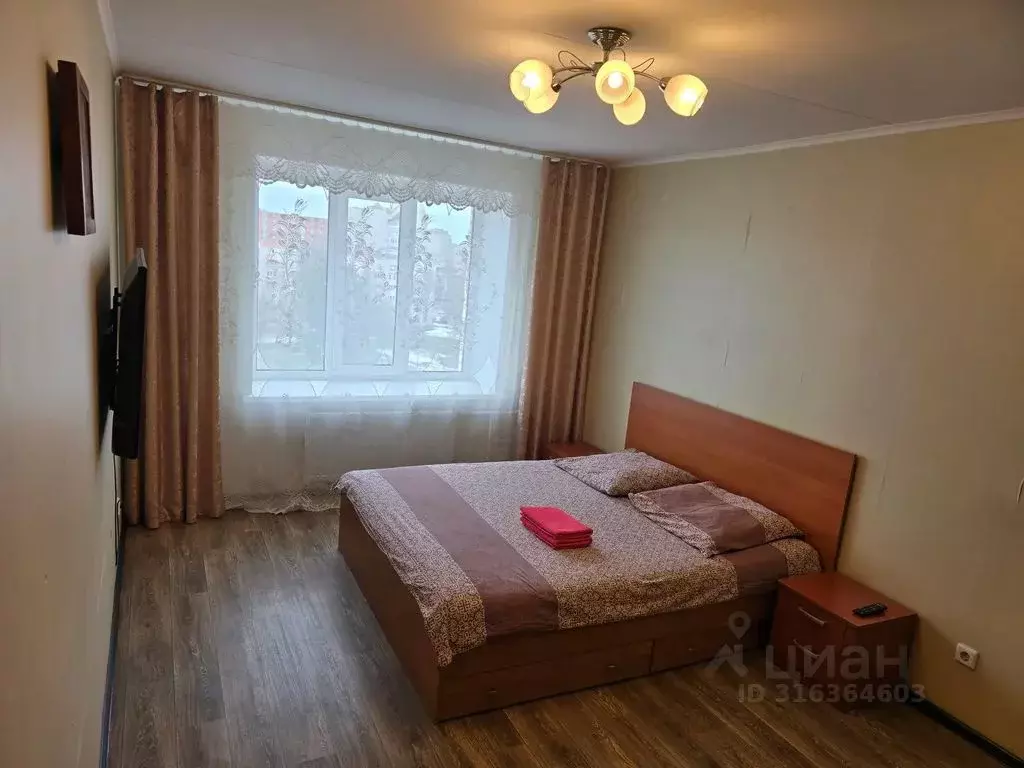 1-к кв. Псковская область, Псков Юбилейная ул., 41 (34.0 м) - Фото 1