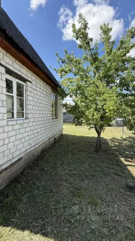 Дом в Брянская область, Брянск Мичуринец садовое общество,  (42 м) - Фото 2