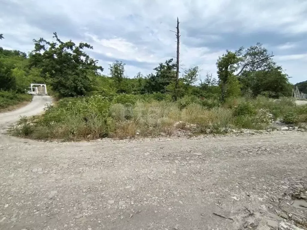 Участок в Краснодарский край, Геленджик городской округ, с. Адербиевка ... - Фото 2