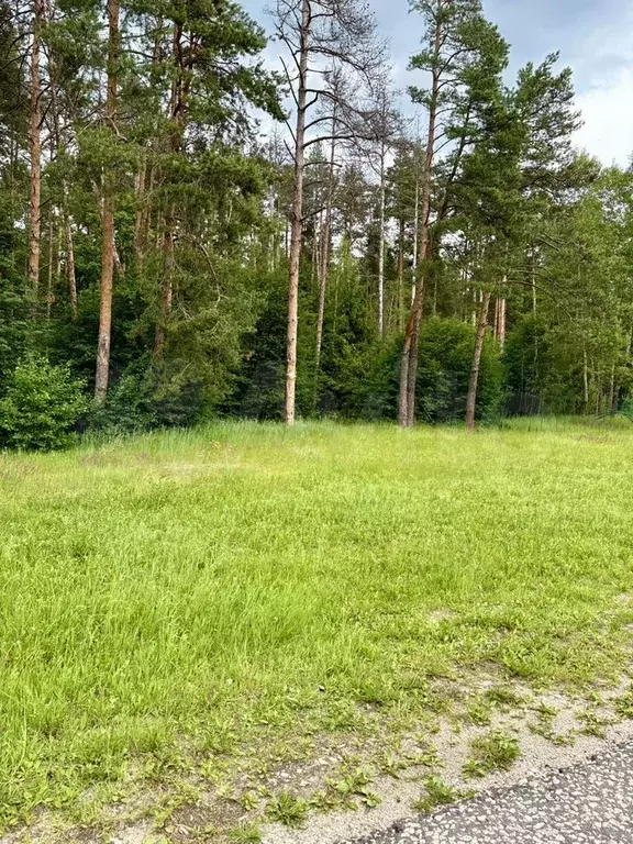 Участок 7,2 сот. (ИЖС) - Фото 1