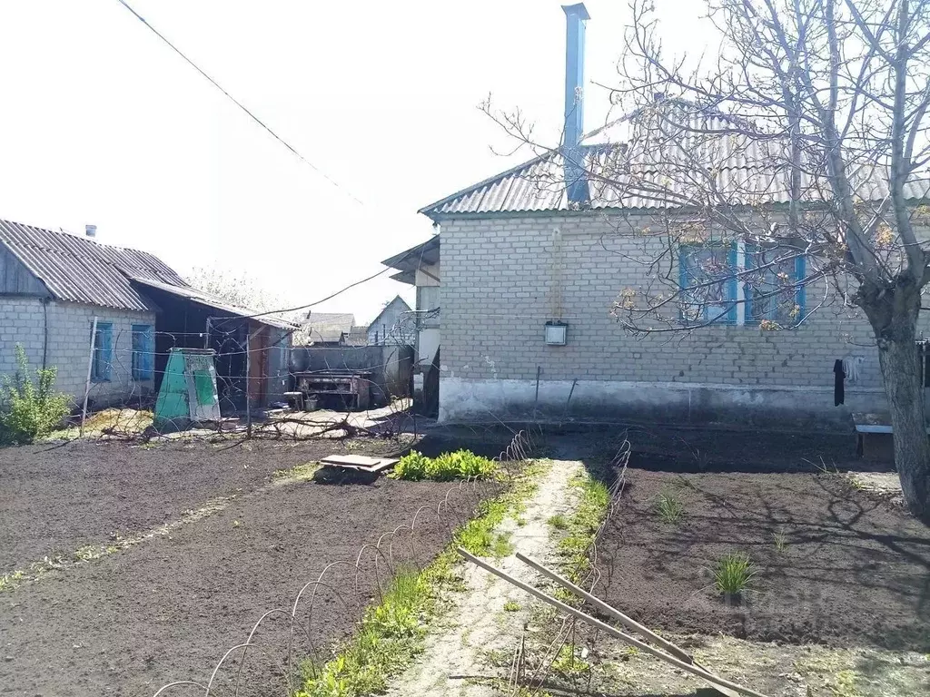 Дом в Воронежская область, Аннинское городское поселение, Анна пгт ул. ... - Фото 1