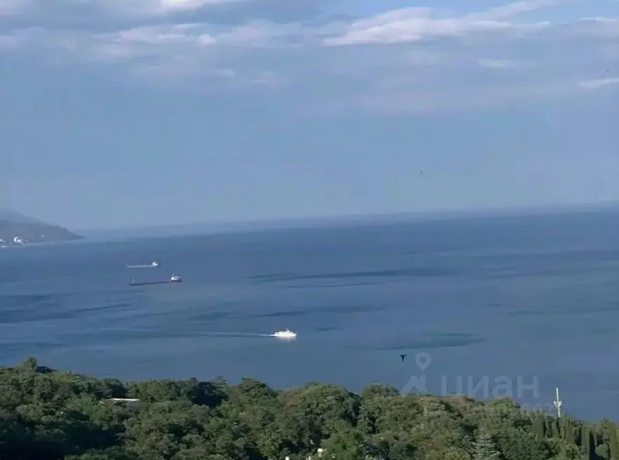 2-к кв. Крым, Ялта муниципальный округ, Ореанда пгт 3Б (54.8 м) - Фото 2