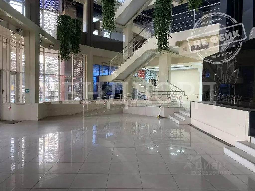 Торговая площадь в Ростовская область, Ростов-на-Дону ул. Доватора, ... - Фото 1